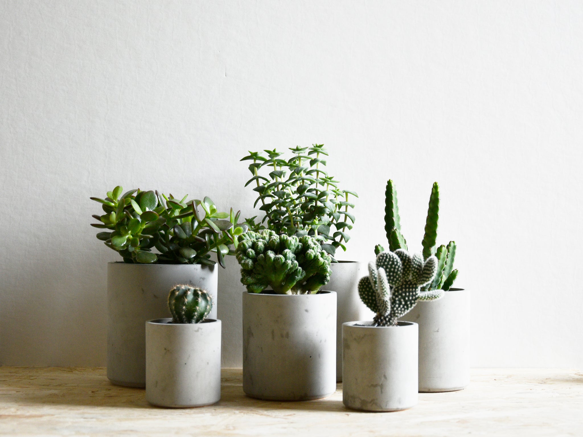 Concrete Planters