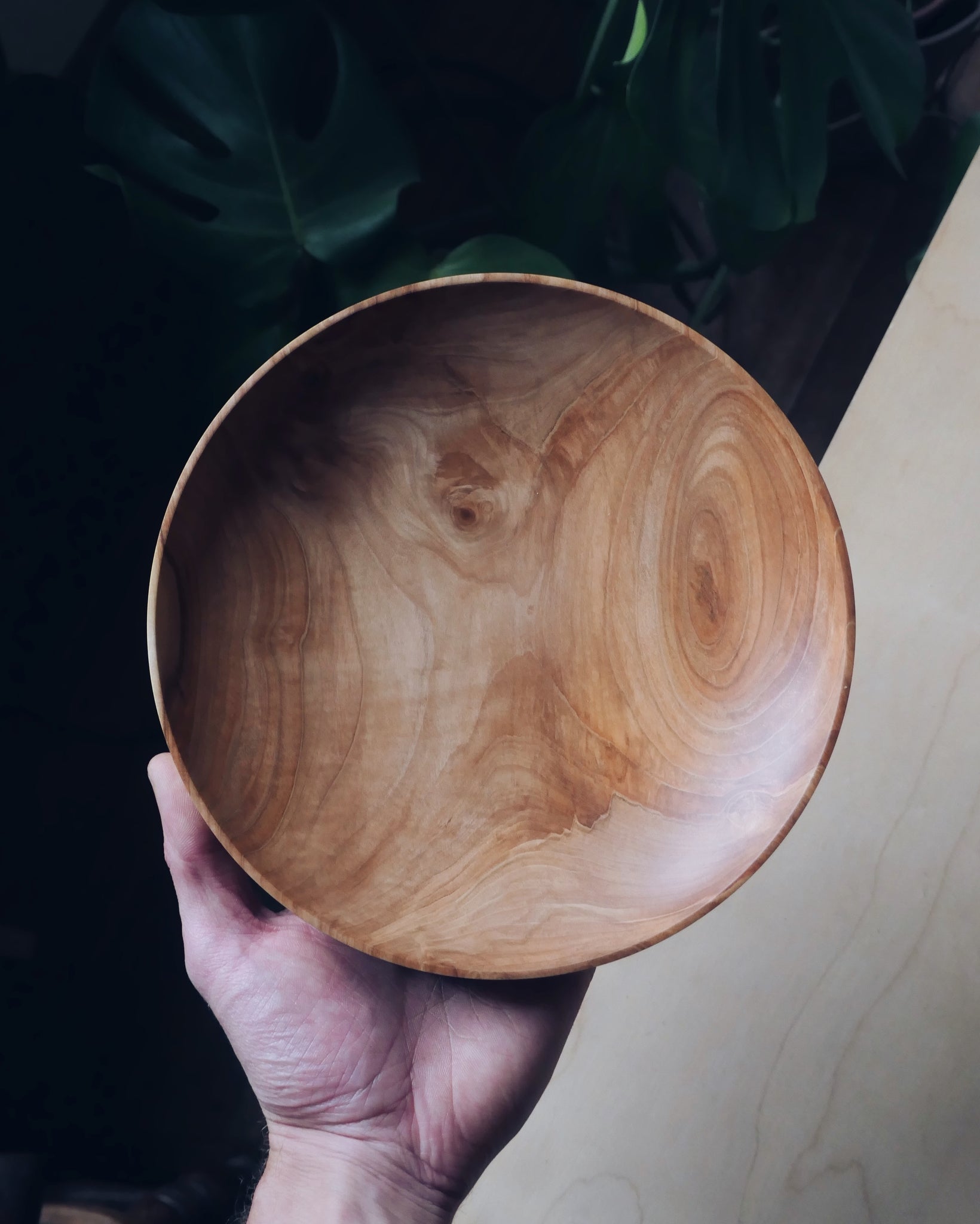 Bowl - in Horse Chestnut