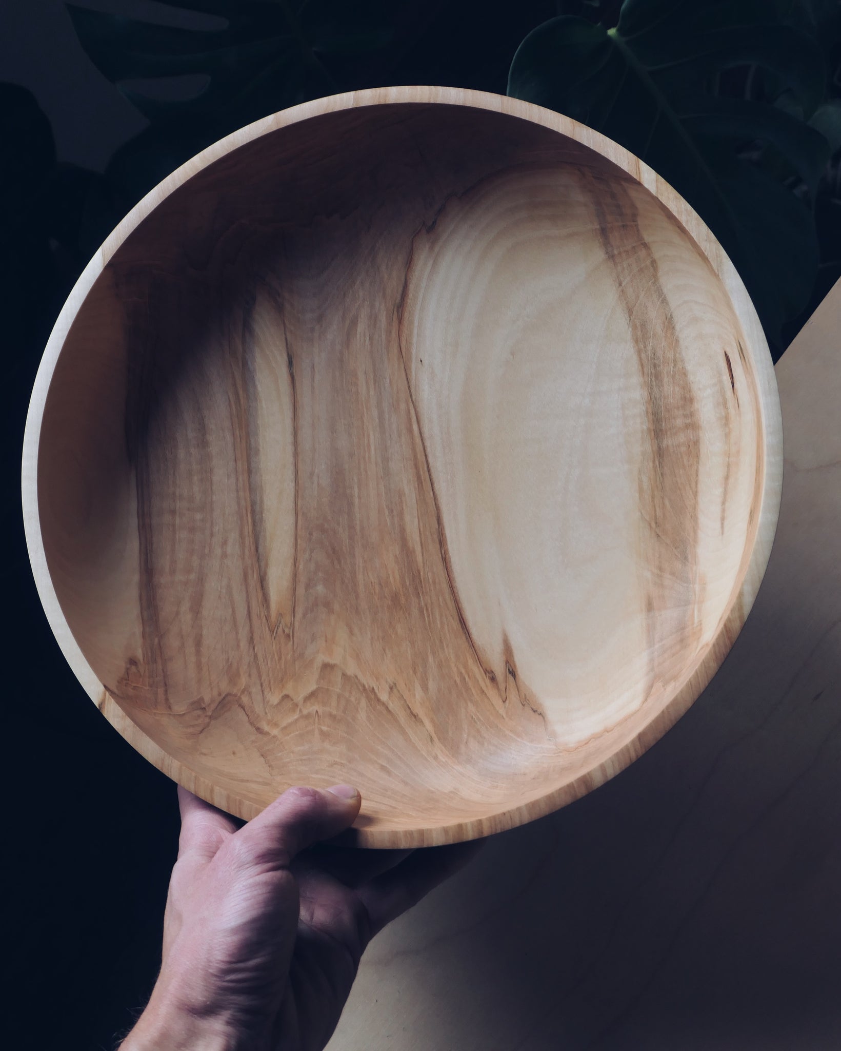 Large Bowl - in Horse Chestnut