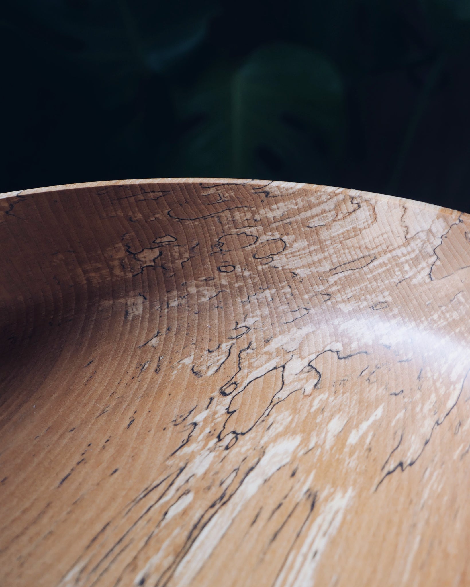 Bowl - in Spalted Beech