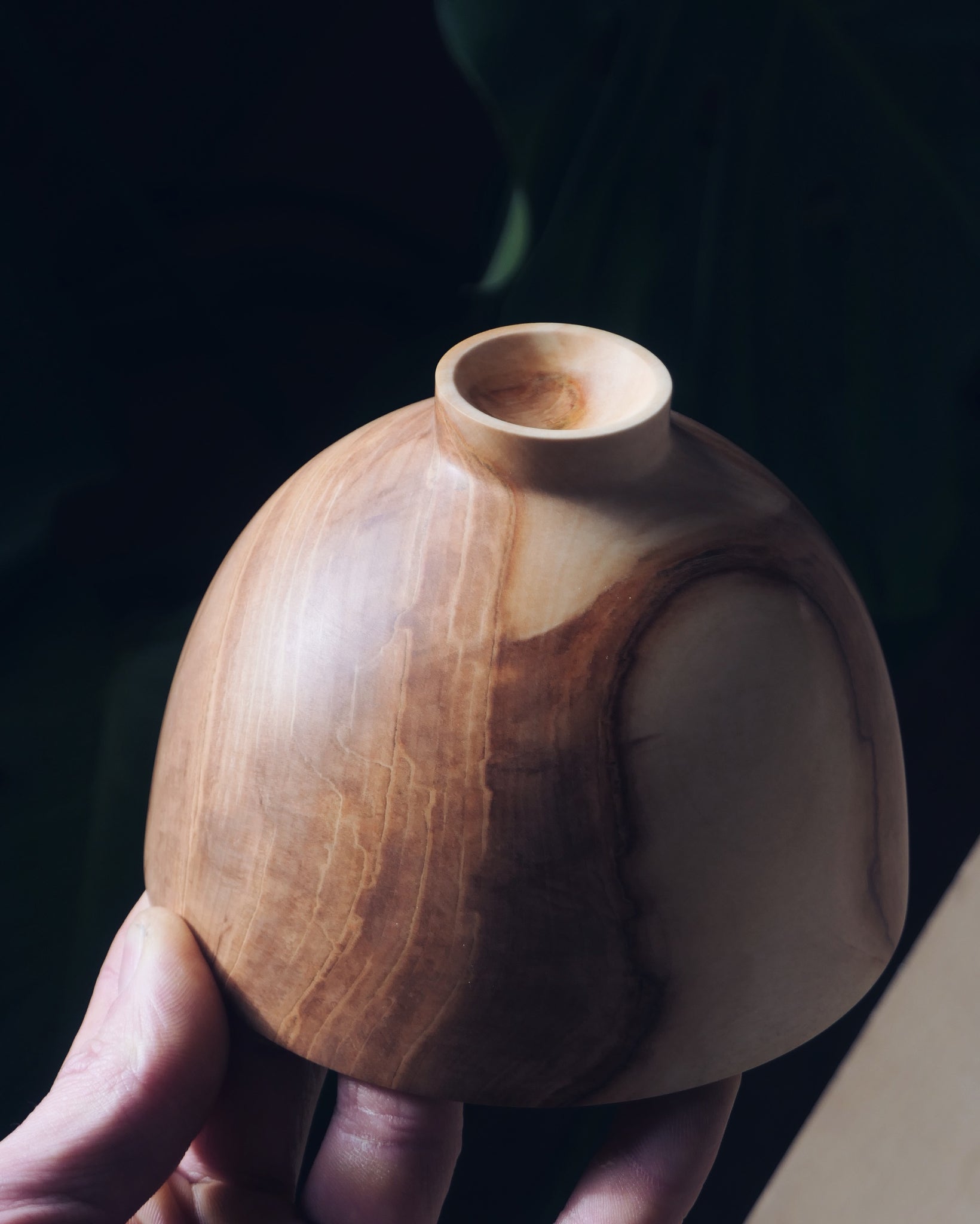 Vessel - in Horse Chestnut