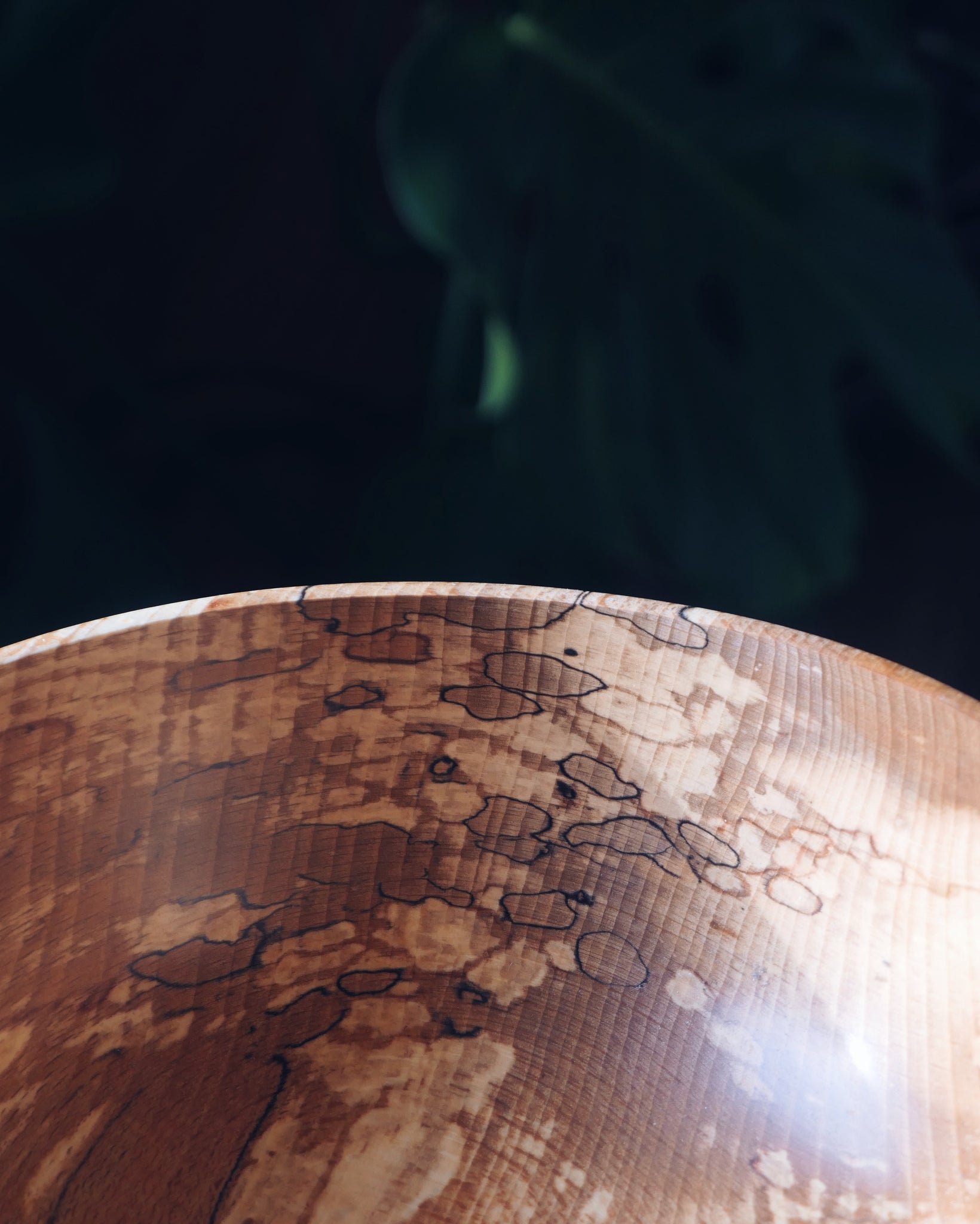 Bowl - in Spalted Beech