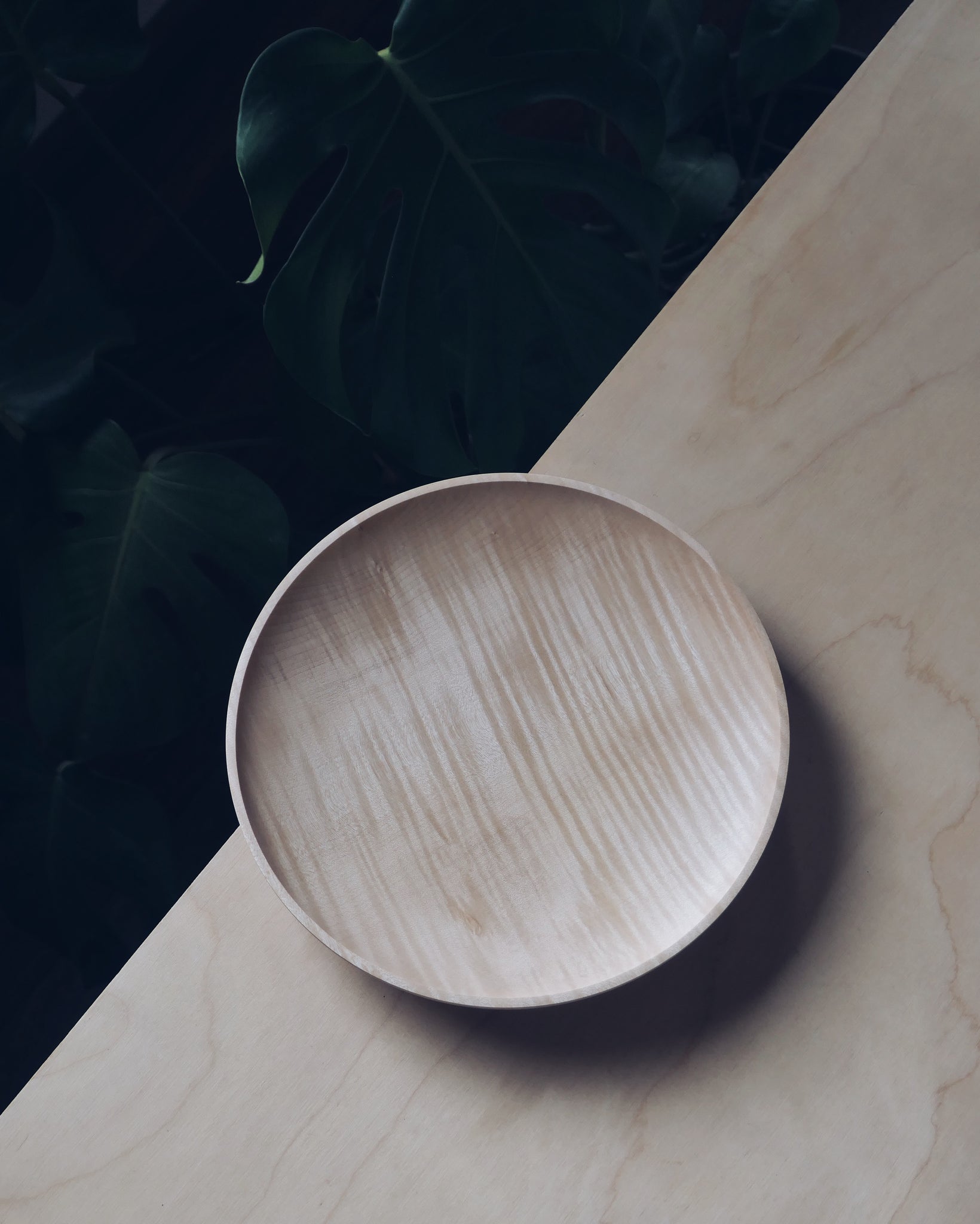 Plate - in Field Maple
