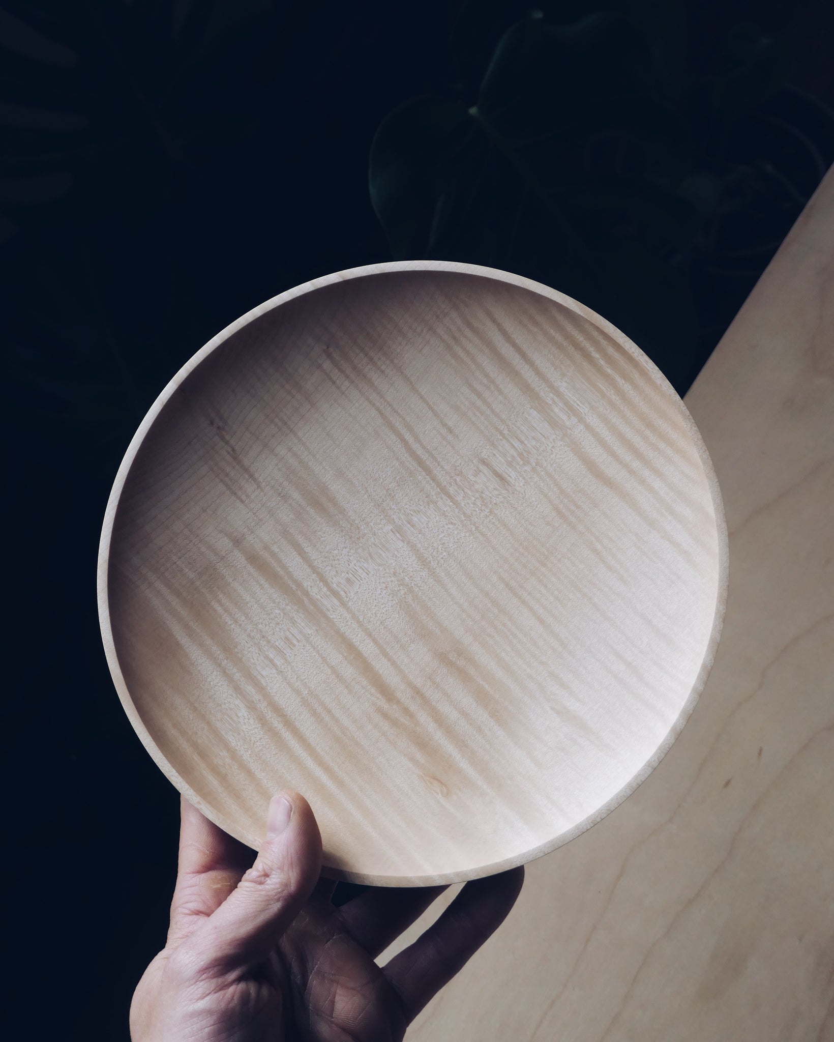 Plate - in Field Maple